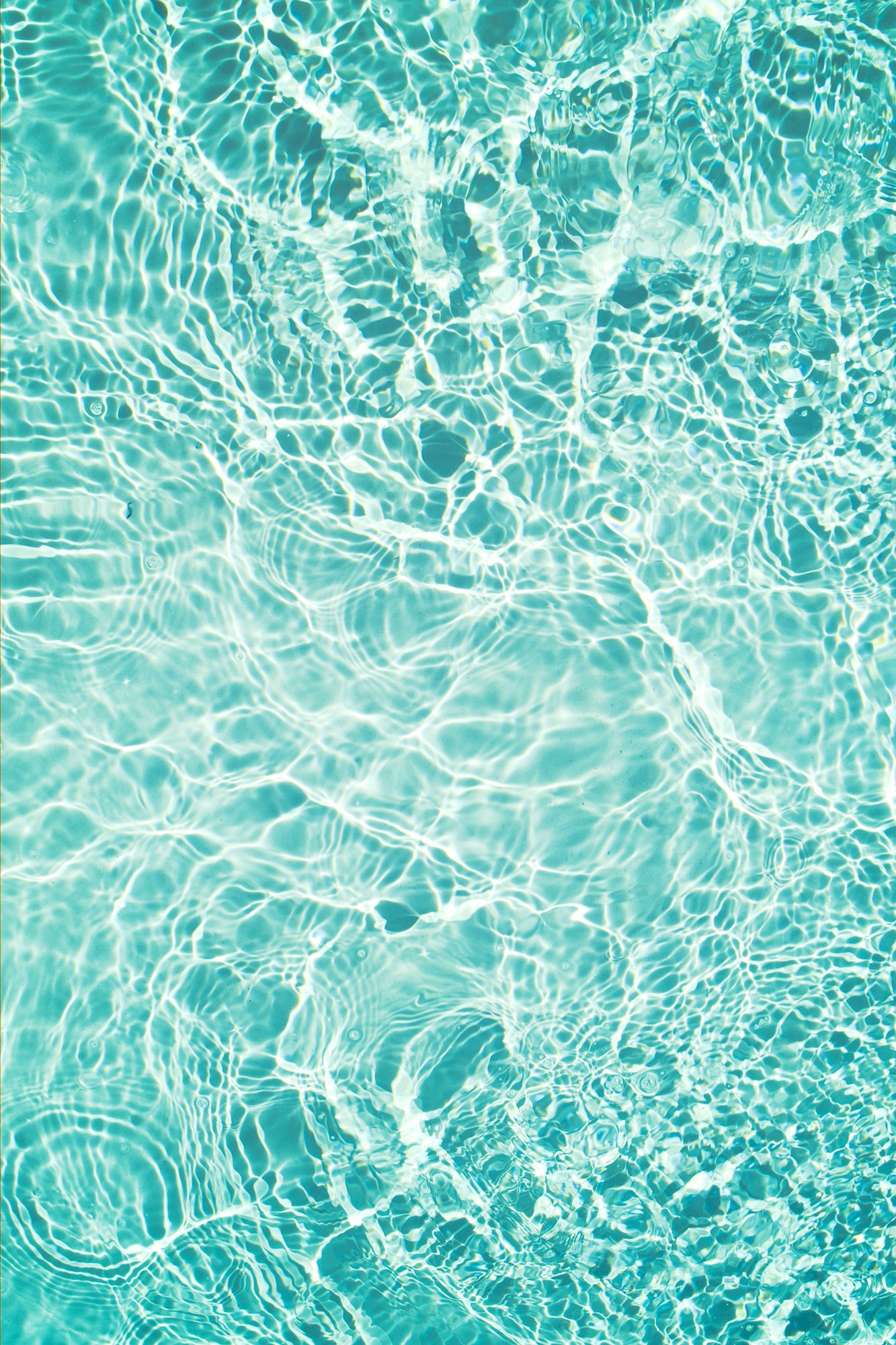 #Print_40x60"_None